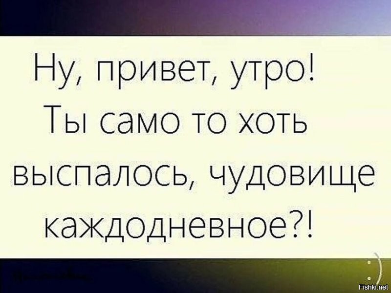 Солянка от 24.11.2021
