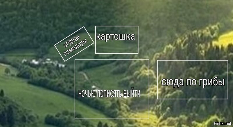 Солянка от 24.11.2021