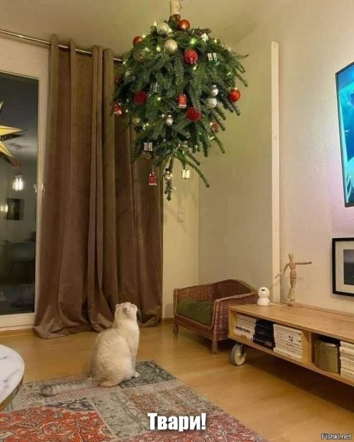 скоро