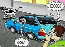 Неопытная автомобилистка пыталась припарковаться, но столкнула чужой автомобиль с лестницы