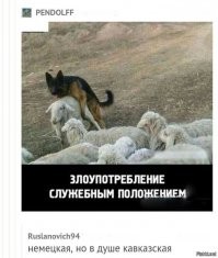 Намешалось