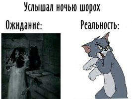 Шорох! Эти шерстяные скидывают всё самое громкое.