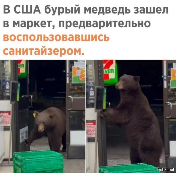 Майор рвёт и мечет. Так проколотся.   Сказал, что премию на НГ можем не ждать. А я жене уже на стол ежа обещал, а если еще и ватник завернут, она меня вообще прибьет. .
