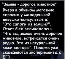 Похоже у молоденькой девушки-консультанта просто есть чувство юмора. 
А прикол про кожу дермантина, велюра, замши и т.д., я ещё в младшей группе детского сада слышал...