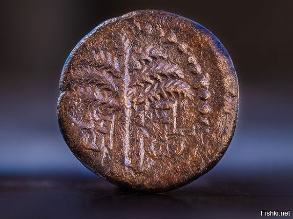 Этих "шекелей" в интернетах болтается как минимум четыре разных варианта







Но упоминаются они как монеты 66-70 годов.



А Циклопедия и Википедия показывают совершенно другие монеты
Бар-Кохбы










Да и в посте - Вы статью прочитать не потрудились? - говорится "Вероятнее всего, она была сделана священником в 68 году", правда, почему-то до н.э.