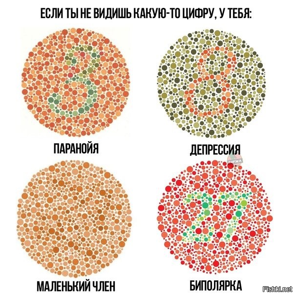 Солянка от 24.11.2021