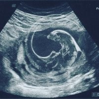 Смешные комментарии из&nbsp;социальных сетей-25