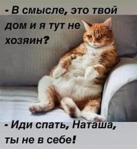 Tiffany &amp; Co. показал самое дорогое колье в своей истории: в чем его особенность