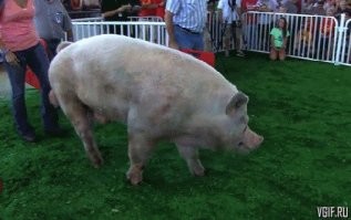 Чего то вспомнилось сразу