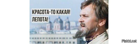 Солянка от 24.11.2021