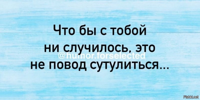 Солянка от 25.11.2021