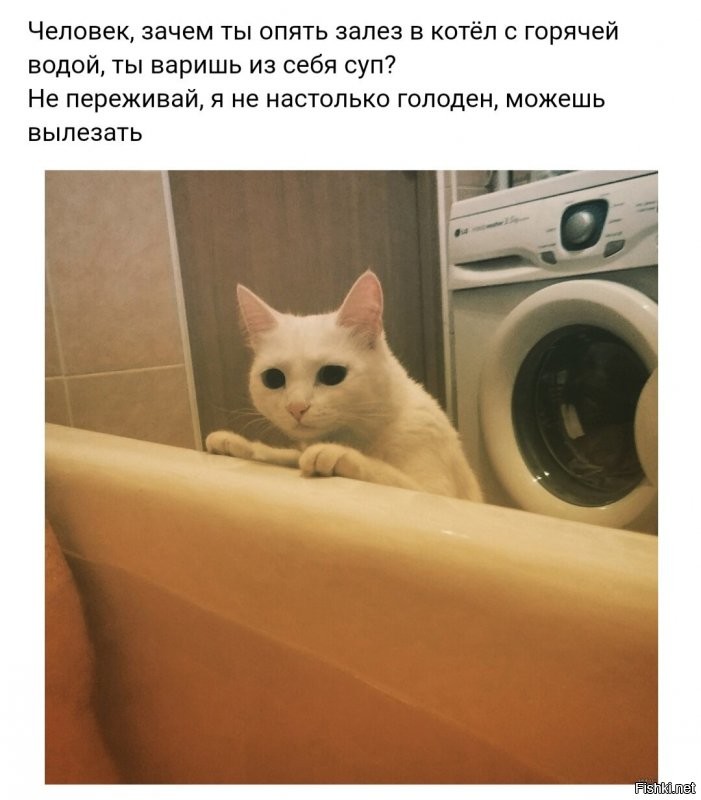 Солянка от 25.11.2021