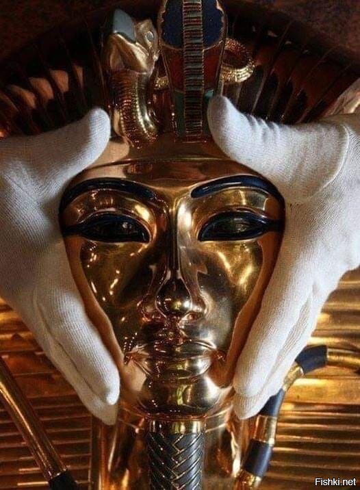 Солянка от 25.11.2021