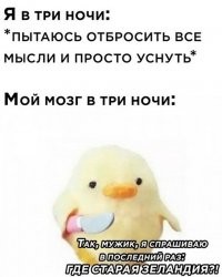 Хтож ему виноват шо он тупень и не знает, что открыли её голландцы и у них уже была своя Зеландия (морская страна), по этому эту, они назвали новой.