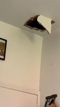 Интересно, из чего у них межэтажные перекрытия делают..?