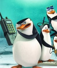 Подозрительное скопление пингвинов