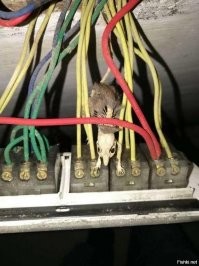 Военный спецобъект посреди леса