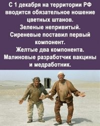 Готовим проездные и QR-коды на входе: российские кондукторы о новых реалиях пандемийного мира