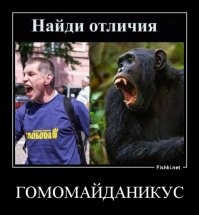 Чёрные дни BLM: после очередного нововведения шопинговать по БЛМовски бросились все кому не лень