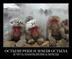 Чёрные дни BLM: после очередного нововведения шопинговать по БЛМовски бросились все кому не лень