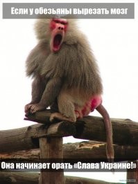 Чёрные дни BLM: после очередного нововведения шопинговать по БЛМовски бросились все кому не лень