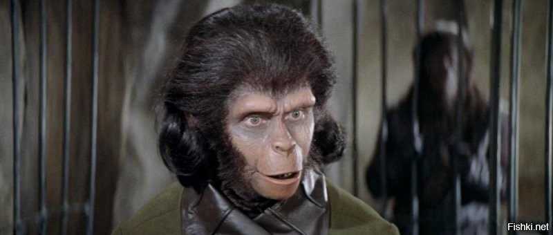 Солянка от 25.11.2021