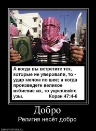 В Краснодаре мигрант пырнул в шею охранника ночного клуба