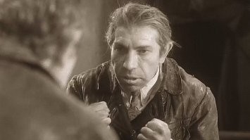 Волонтеры пересчитали численность бездомного кошачьего «войска» в Москве