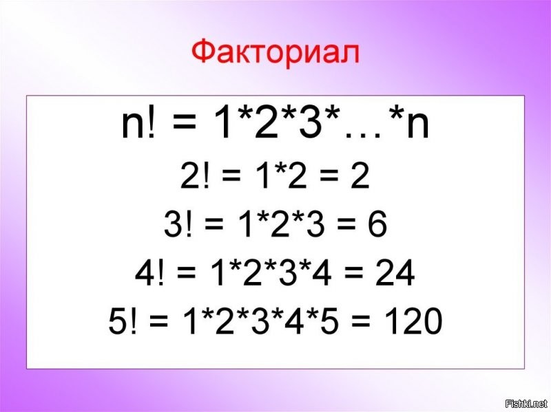 Евклид бы оценил: тонкий математический юмор