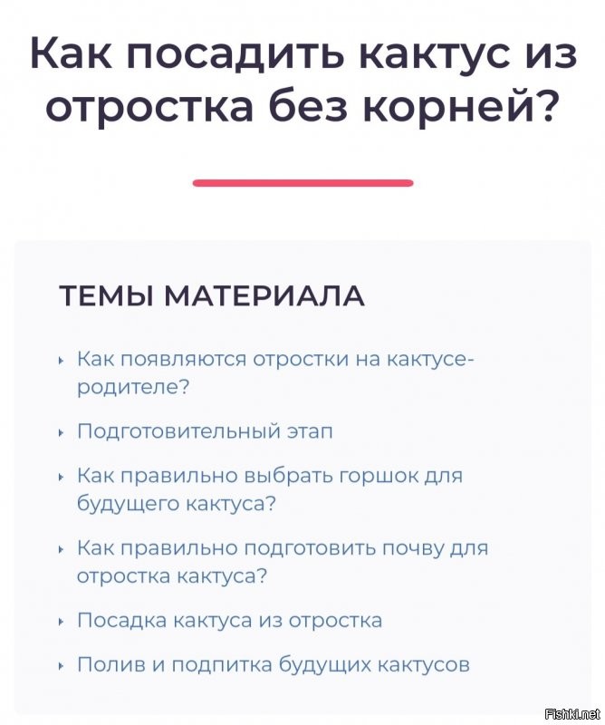 Спорить не буду , но всегда думала , что у кактусов - отростки ... )