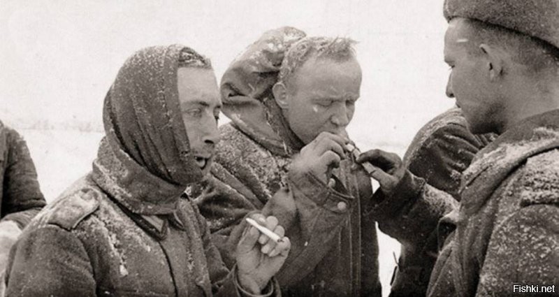 Немцы пригнали ,наобещав кучу трофеев ..В Одессе и т.д. они зверствовали и марадерничали ,похуже нацистов из мемуаров ..
Но об этом как то замалчивали во времена СССР .
А вообще ,если бы не румынские дивизии  трусливые и пугливые ,окружение немецкой группировки было бы проблемным  ..Эти сразу драпать стали ,под первыми ударами Советских войск . Зря Паульс на них понадеялся.,хотя  других у него и не было ,чтобы заменить на флангах .
Блестящая победа ,тяжело далась ,но эффект психологический был огромным ..Можем БИТЬ фрицев !!
Дали им там прикурить наши предки ..!!