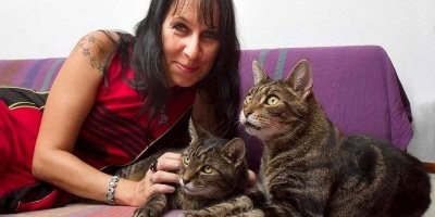на мордах котов очень хорошо читается отношение к психическому состоянию их "жены"