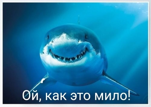 Маски, маски