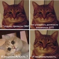 В Госдуме призвали СМИ не упоминать должности виновников резонансных ДТП