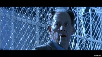 Свинминатор. Т-1000 одобряет 