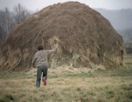 "...Ученику известного профессора семиотики Юрия Лотмана очень понравился фильм «Полеты во сне и наяву», и он написал мне письмо – разбор фильма. Читать это было невозможно, так как каждому шагу он находил свое объяснение. Например, в фильме есть кадр, где главный герой бежит по полю к стогу сена. А на нем кроссовки с красной подошвой. Критик писал: «Это не просто подошвы – это красные подошвы. Потому что у него горит земля под ногами!» А я вспоминаю, как на площадке орал на реквизитора: «Дура, ты что, не могла найти обувь с нормальными подошвами?!»"