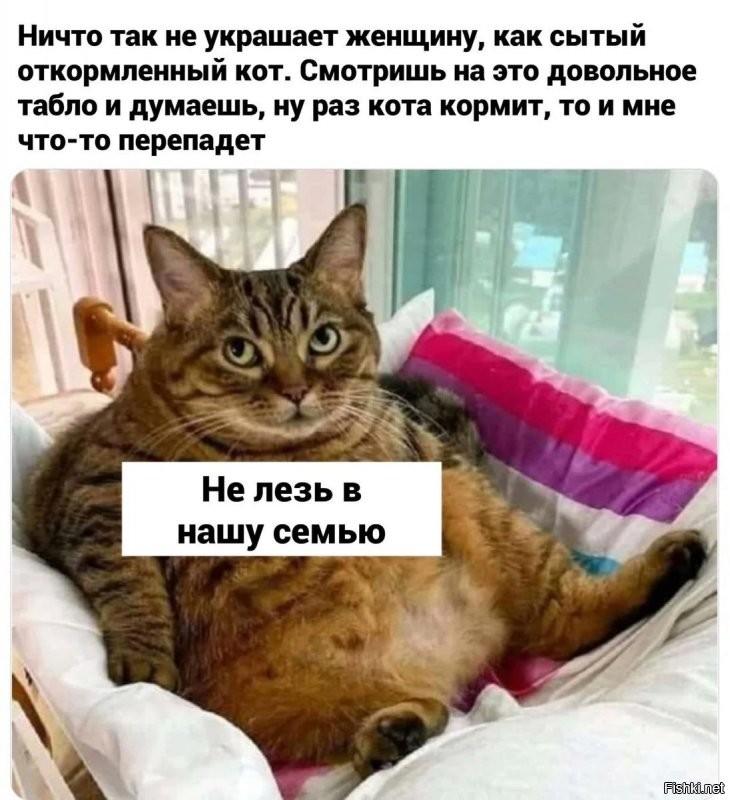 (С) )