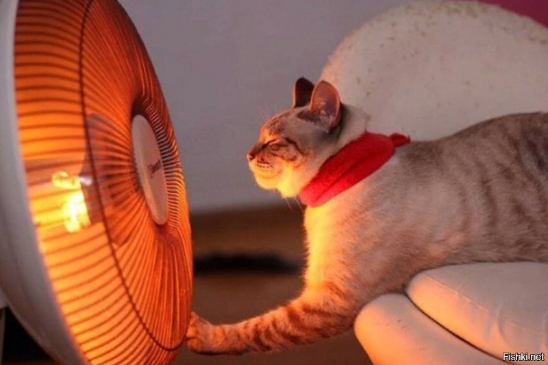 Солянка от 27.11.2021