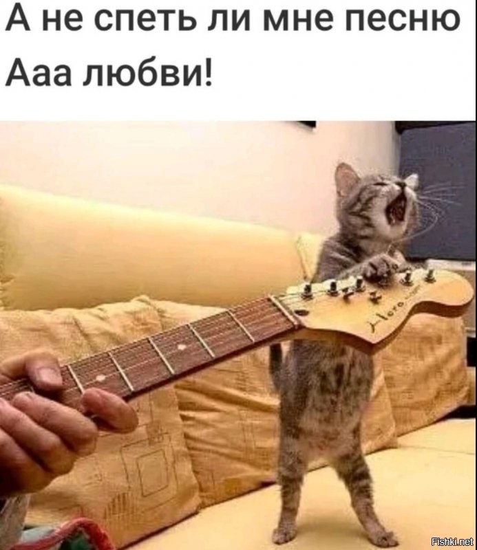 Солянка от 27.11.2021