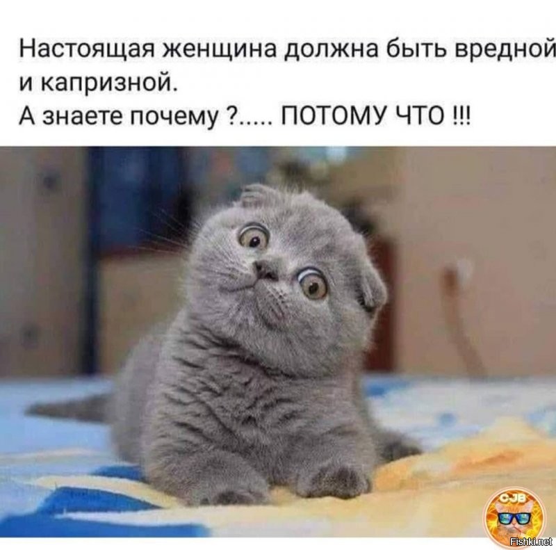 Ой , всё ...