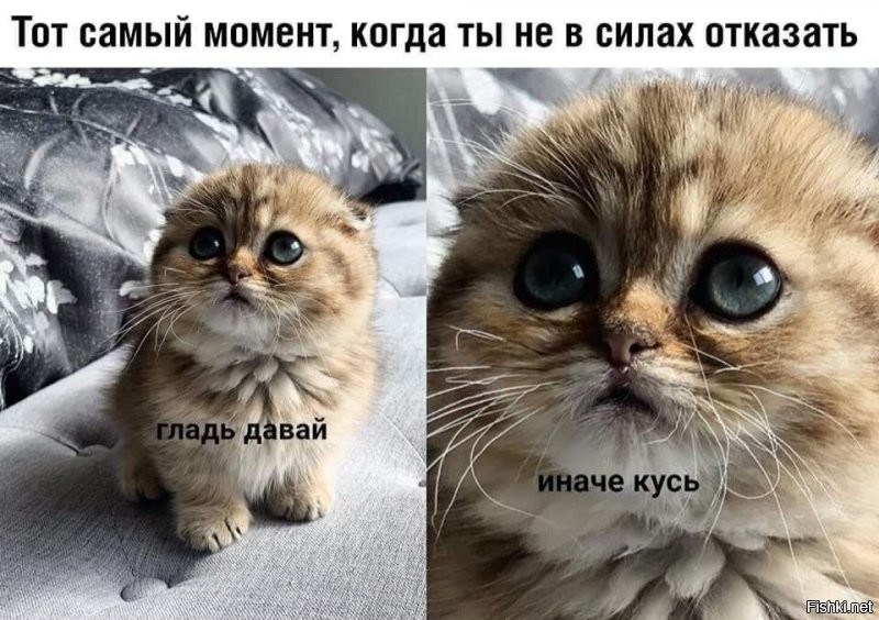 Солянка от 27.11.2021