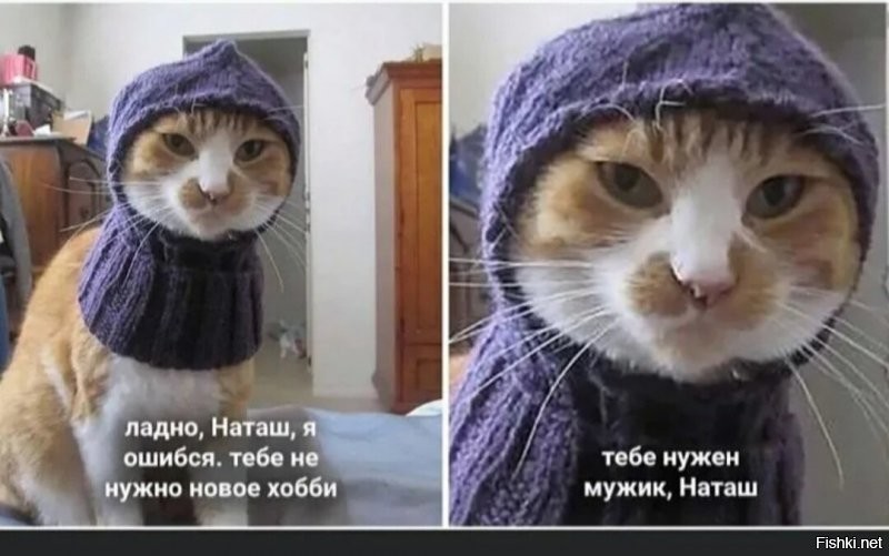 Солянка от 27.11.2021