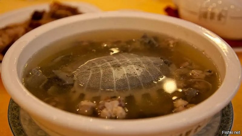черепаховый суп