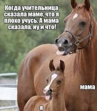 Их цель - дебилизм!