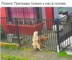 Картинки в чёрно-белых тонах. Выпуск 49