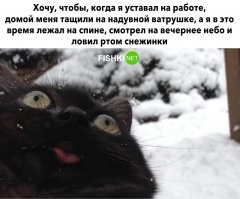 Какой нах ватрушке? На санках, чтобы вдобавок слушать как снег скрипит под полозьями.