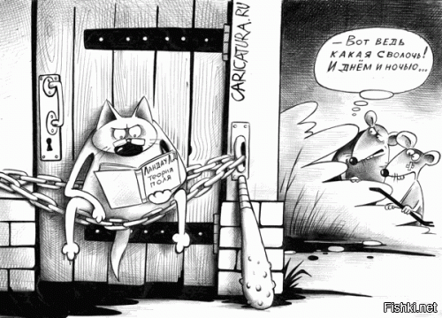 С нашей реальностью точно что-то не то