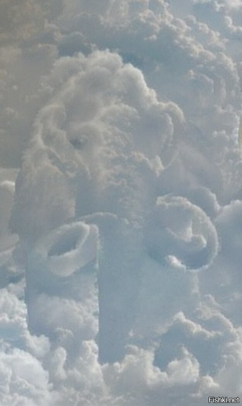Облака удивительная штука. Если присмотрится к этим облакам, то тоже можно что то увидеть
