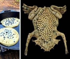 Фотографии еды, от которой у каждого потекут слюнки