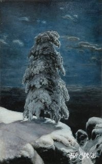 Красивые пейзажи. Фотограф Евгений Карепанов